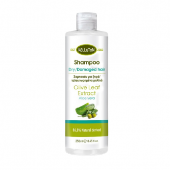 Kalliston Shampoo for dry/damaged hair with aloe vera
