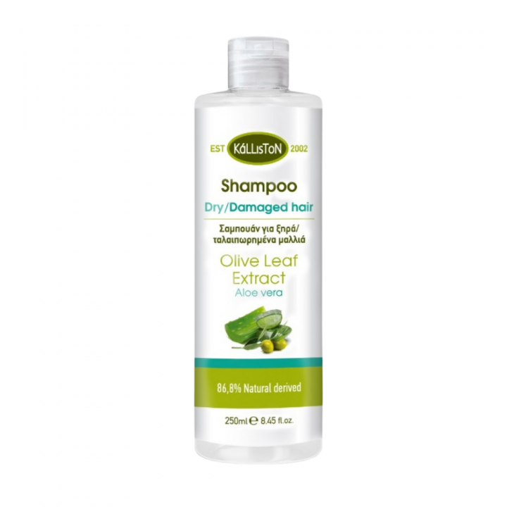 Kalliston Shampoo for dry/damaged hair with aloe vera
