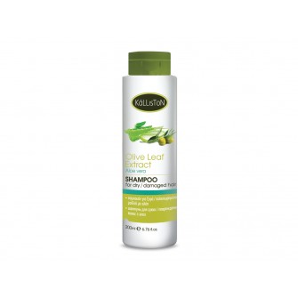 Kalliston Shampoo for dry/damaged hair with aloe vera