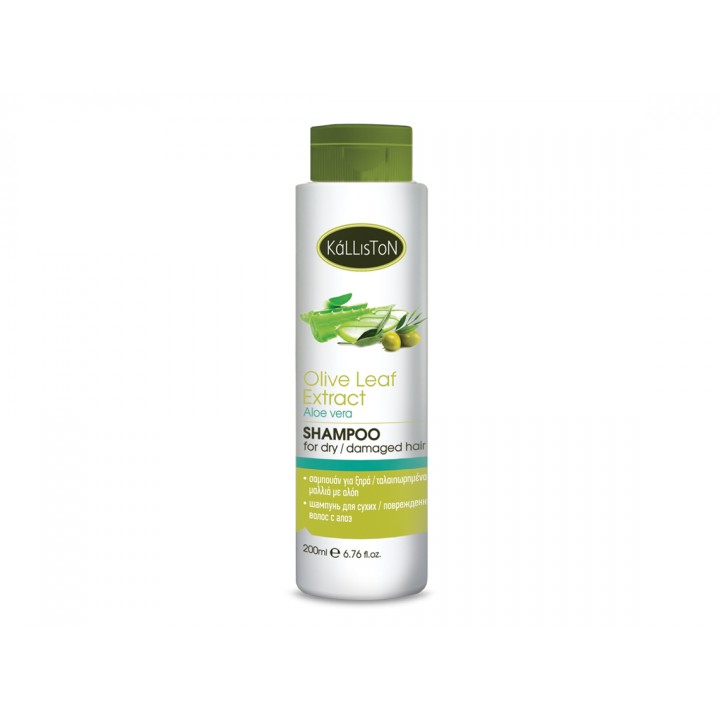 Kalliston Shampoo for dry/damaged hair with aloe vera