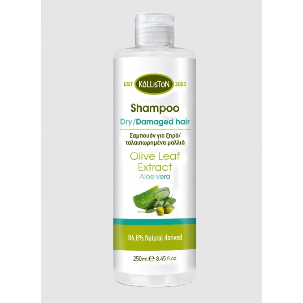 Kalliston Shampoo for dry/damaged hair with aloe vera Kalliston Shampoo for dry/damaged hair with aloe vera