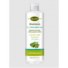 Kalliston Shampoo for dry/damaged hair with aloe vera