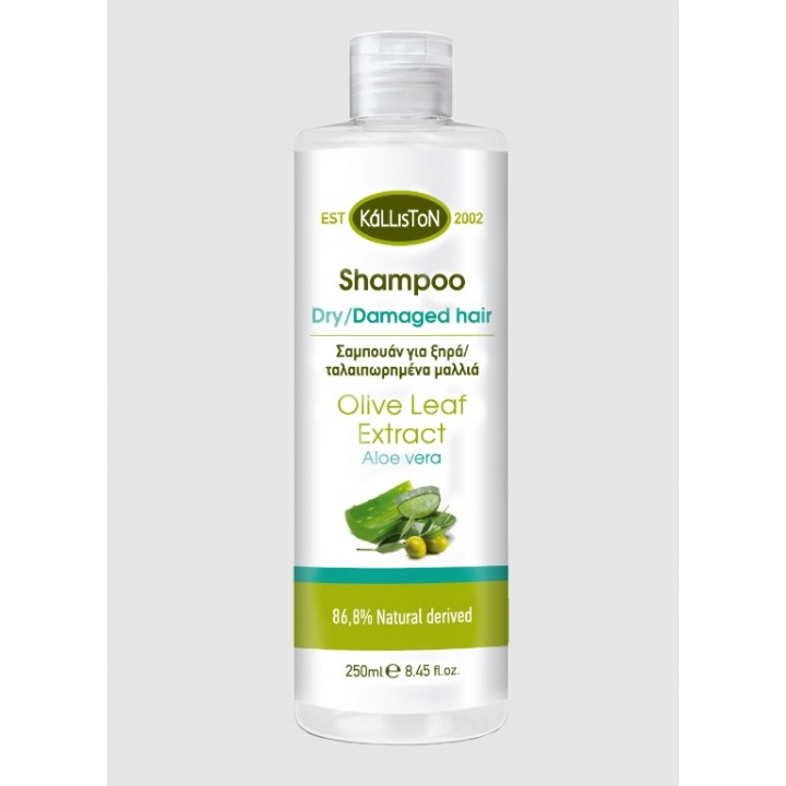 Kalliston Shampoo for dry/damaged hair with aloe vera