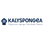 Kalyspongea