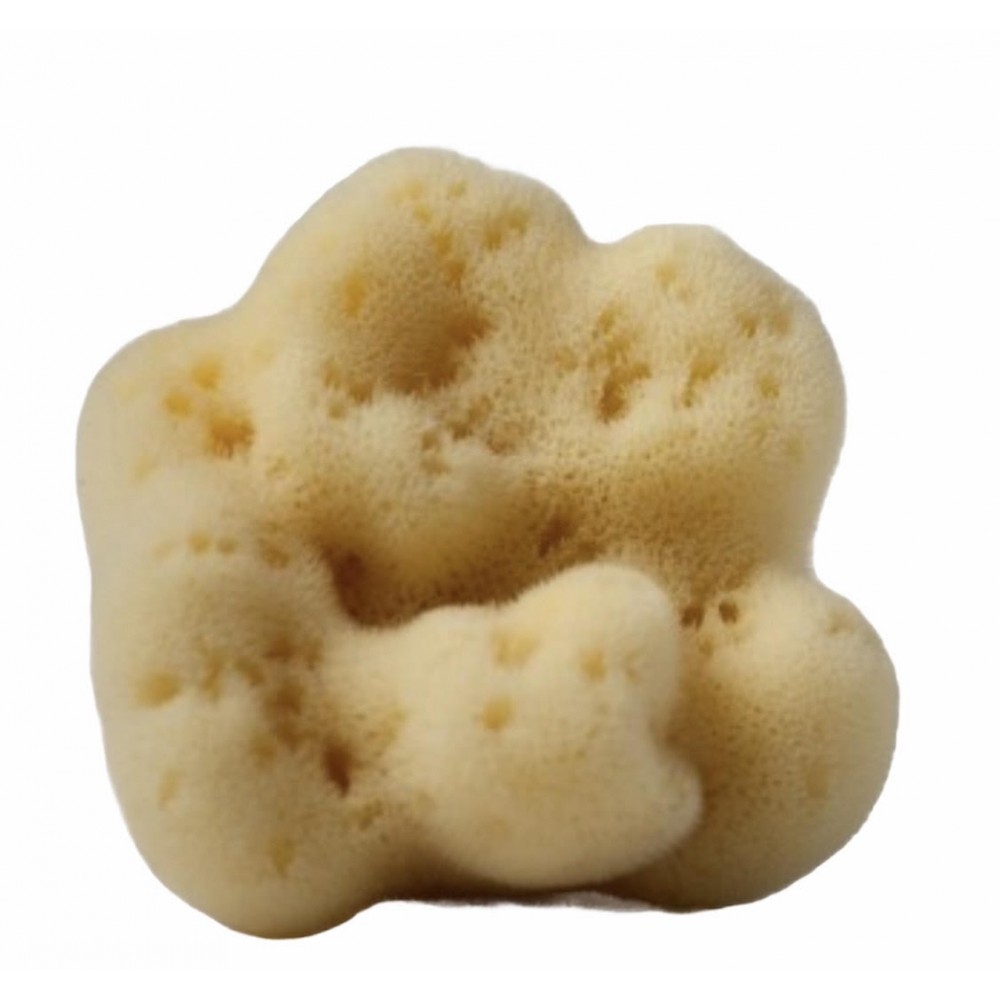 Fine silk sponge white Fine silk sponge white