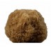 Natural Honeycomb sponge brown Natural Honeycomb sponge brown