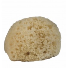 Natural Honeycomb mini sponge white